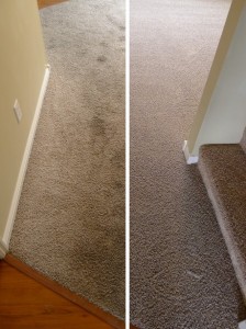 carpet-cleaning-key-biscayne