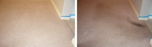 carpet-cleaning-wilton-manors